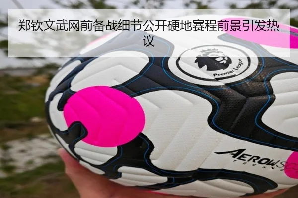 郑钦文武网前备战细节公开硬地赛程前景引发热议（ACMilan）